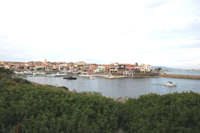 La Pelosa